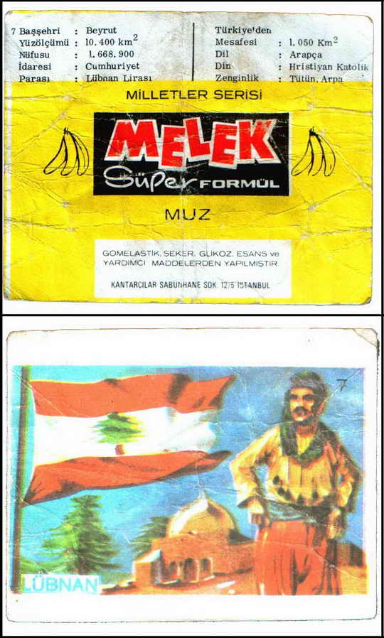 Melek-Turkey-sticks