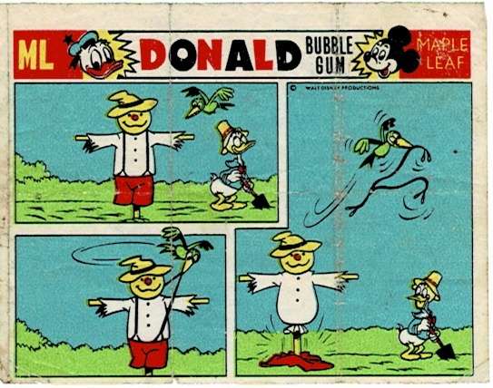 Donald/pictures/Maple Leaf Holland